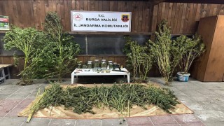 Bursada 9 kilo 400 gram esrar ele geçirildi