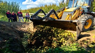 Bursada pestisite geçit yok