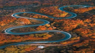 Bursada sonbaharla ormanlara gelen renk cümbüşü