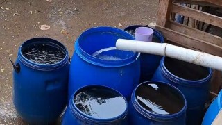 Bursada yağmur suyunu varillere biriktirerek tasarruf ediyor