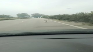 Bursada yağmura aldırış etmeden koşan köpek yürekleri burktu