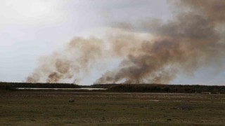 Büyük İron sazlığında yangın