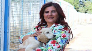 Büyükşehirden sokak hayvanları için 244 bin metrekarelik yaşam alanı