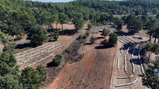 Çam balında rekolte sevinci