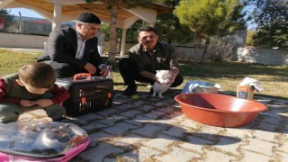 Cami imamı onlarca kediye bakıyor