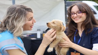Can dostlar yeni yuvalarına kavuştu
