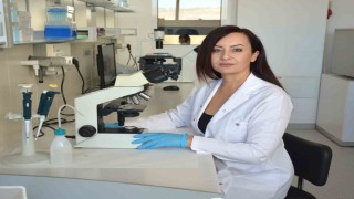 Candida aurise karşı Türkiyenin en kapsamlı araştırması tamamlandı