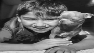 CHPli Başkan Yardımcısının araçla çarptığı çocuk hayatını kaybetti