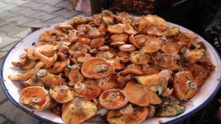 Çıntar pazar tezgahlarında yerini aldı