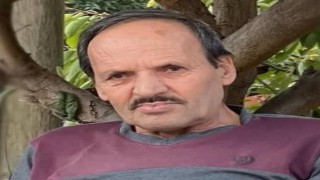 Çıntar toplamak için gittiği ormanda ölü olarak bulundu