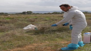 Çivril Belediyesi ilçede yaşanılan şap hastalığı için çalışmalarını sürdürüyor
