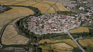 Coğrafi işaretli Tosya pirincinde susuzluk sebebiyle istenilen rekolteye ulaşılamadı