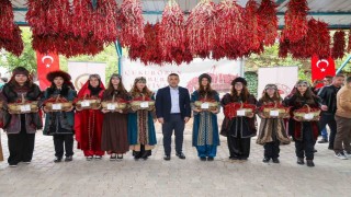 Çukurören biberi Bilecik tarımında yükselen değer