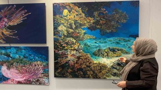 Deniz yaşamının enerjisini tuvale yansıttı