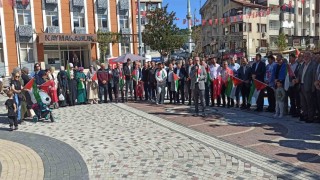 Devrekten Filistine destek, Gazze bizim vicdanımızdır