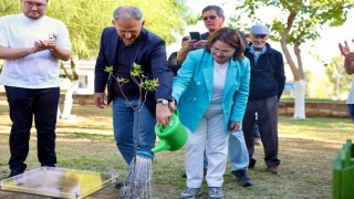 Didim ile Laubach arasındaki dostluk, meşeyle taçlandı