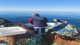 Didimde su ürünleri kontrolü