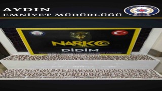 Didimde uyuşturucu operasyonu: 4 gözaltı