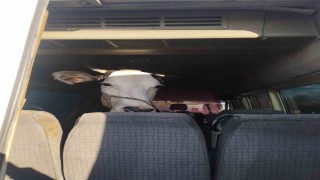 Didimden kaçan hayvan hırsızları Konyada yakalandı