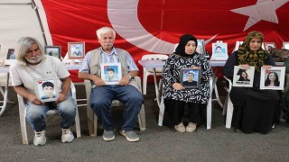 Diyarbakır anneleri, Bahçelinin söylemini sevinçle karşıladı