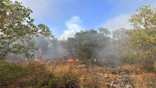 Diyarbakırda örtü yangını 7 saat sonra helikopter desteğiyle söndürüldü