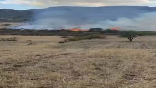 Diyarbakırda otluk yangını