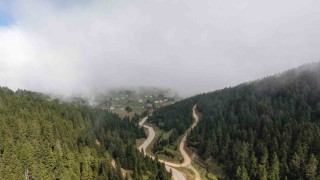 Doğu Karadeniz Bölgesinde heyelan alarmı