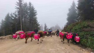 Doğu Karadenizde yaylalardan dönüşler hızlandı