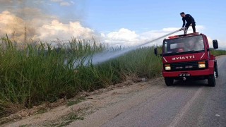 Dökülen çöpler kargıların yanmasına neden oldu