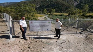 Domuzların talan ettiği çeltik tarlaları, devlet desteğiyle yeniden verimli hale getirildi