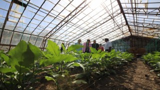 Doyran halkına obezite anlatıldı