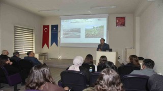 Dünyada 4,059 milyar hektar ormanlık alan