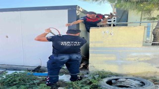 Duvar ile konteyner arasında sıkışan köpeği itfaiye kurtardı