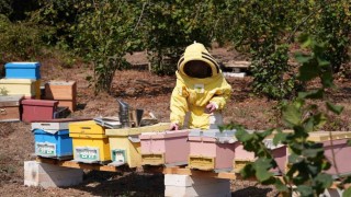 Düzce Üniversitesi mezunlarından uluslararası başarı