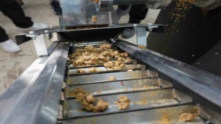 Düzcede sokak hayvanları için mama üretim tesisi kuruldu