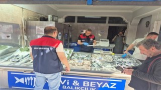 Düzcede su ürünleri denetimi: Yasal boy altındaki 11 kasa balığa el konuldu