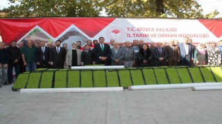 Düzcede yüzde 75 destekli 232 bin 500 adet marul fidesi dağıtıldı