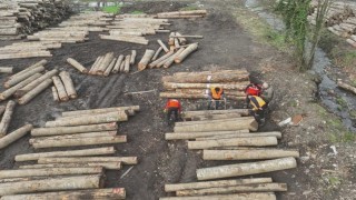 Düzceden 11 bin 596,5 ton orman ürünü ihraç edildi