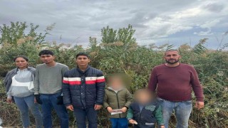 Edirnede 6 kaçak göçmen yakalandı