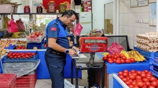 Efelerde manavlar denetlendi