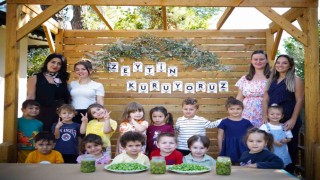 Ekiplerin topladığı zeytinleri minikler işledi