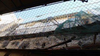 El Halilde Yahudi tacizi Filistinlileri kafes altında yaşatıyor