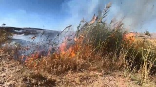 Elazığda otluk alanda yangın