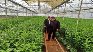 Emette üreticiler için Simavdaki seralara teknik gezi