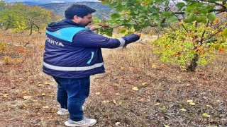 Emette uydu takibi yapılan arazilerde fiziki kontroller yapıldı