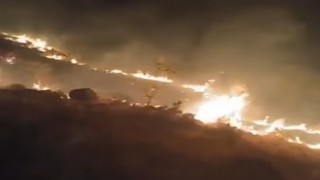 Emirgazide mera yangını