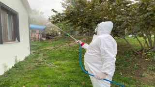 Erenlerde kokarcaya yönelik etkili mücadele sürüyor