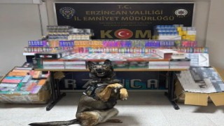 Erzincanda dedektör köpeği hera, 11 bin 600 kaçak ürünü yakalattı