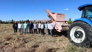 Erzincanda kuru fasulye hasadı başladı