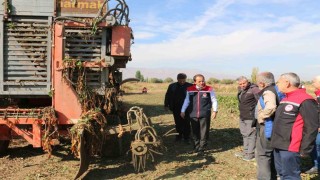 Erzincanda şeker pancarı üretimi yılda yaklaşık 1 milyar TL boyutunda ekonomik döngü ortaya koyuyor